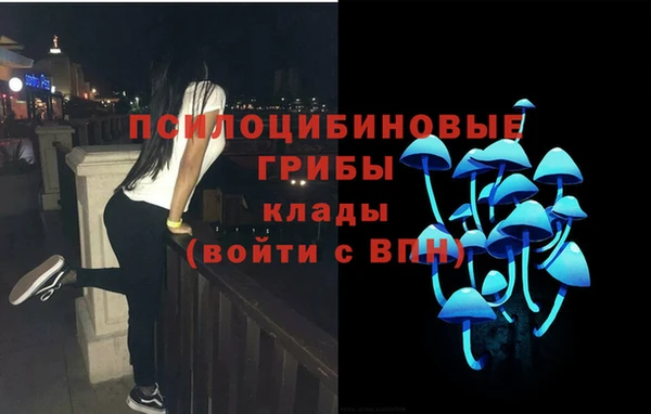 первитин Апатиты