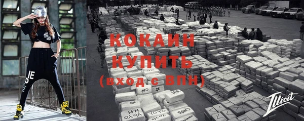 кокс Анива