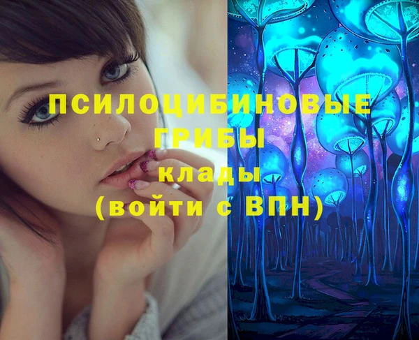 кокс Анива