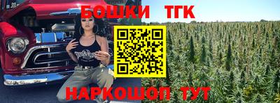 скорость Гагарин
