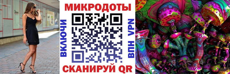 где купить   Энгельс  Галлюциногенные грибы прущие грибы 