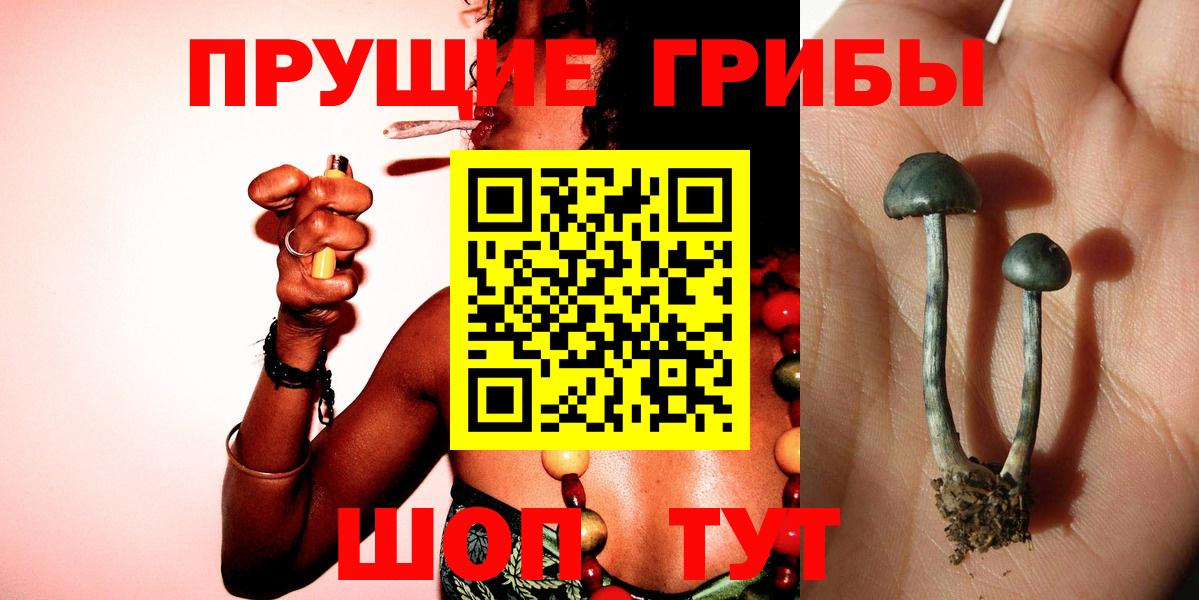 A-PVP Энгельс