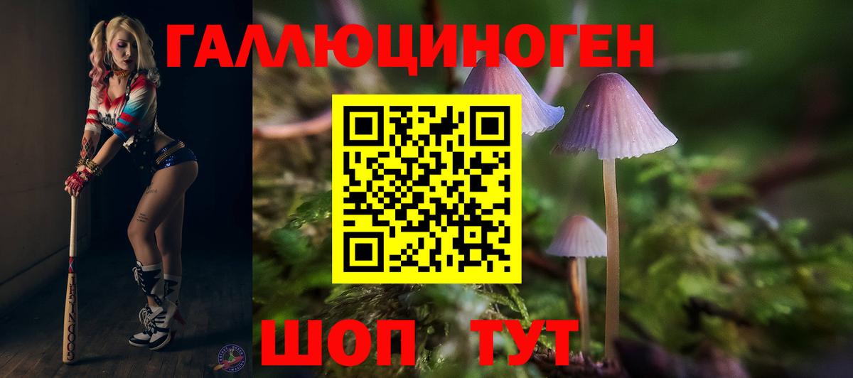 Энгельс  Псилоцибиновые грибы Psilocybine cubensis  Вход с VPN 