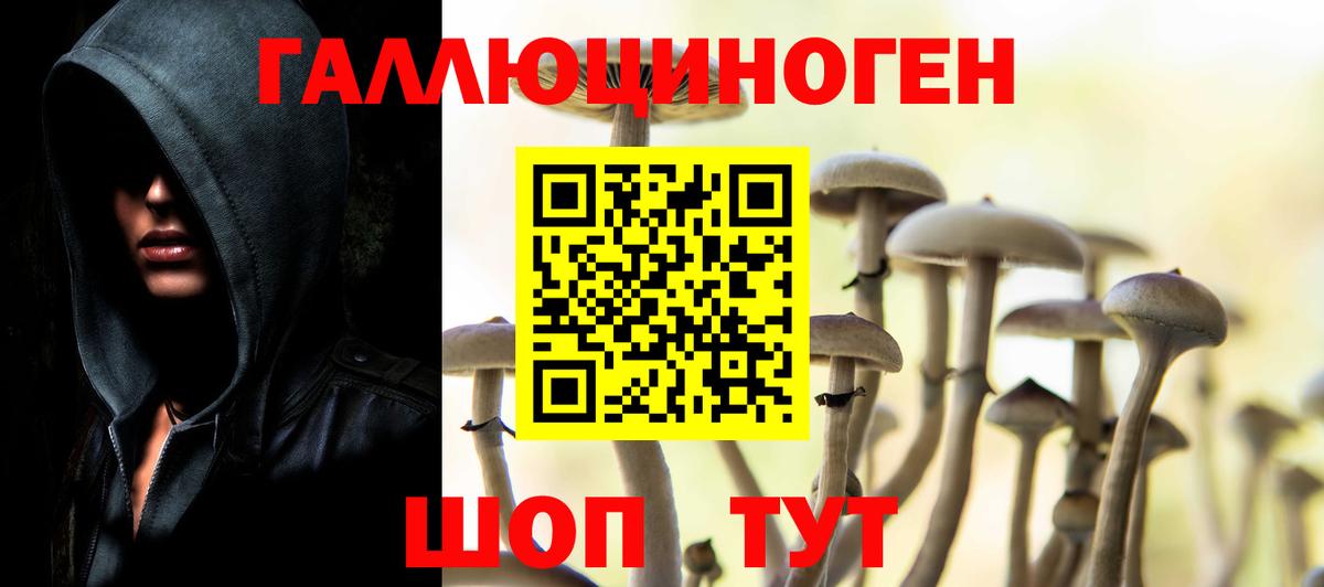 Псилоцибиновые грибы GOLDEN TEACHER Энгельс